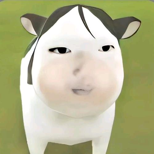 雨墨