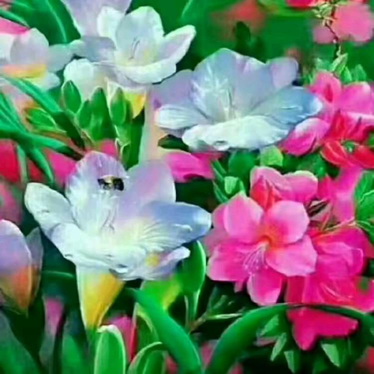 🍀人生何处不相逢🌾