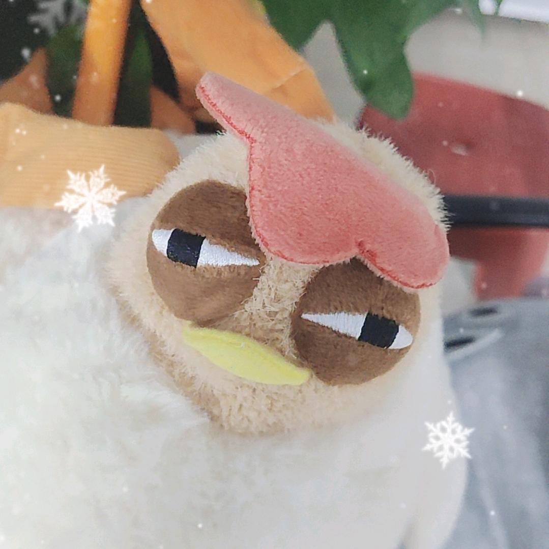 青提子
