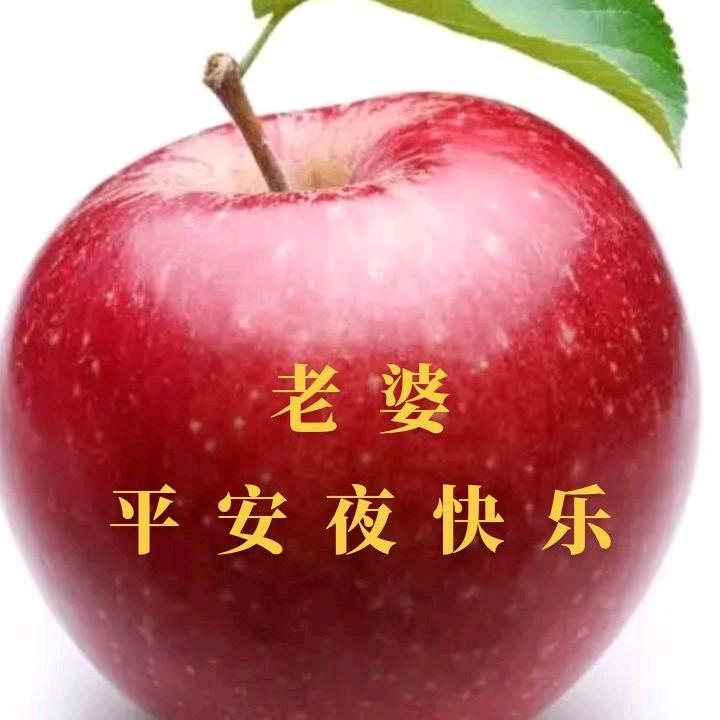 月下疗伤