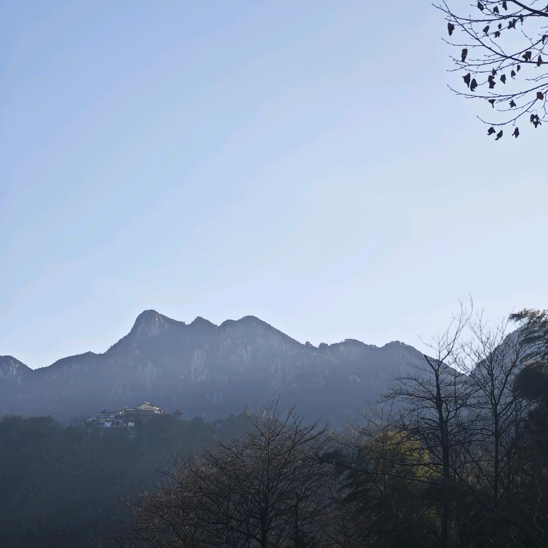 山竹
