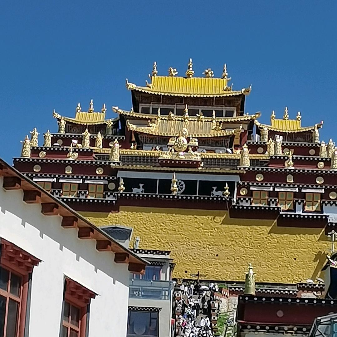 洱源琴