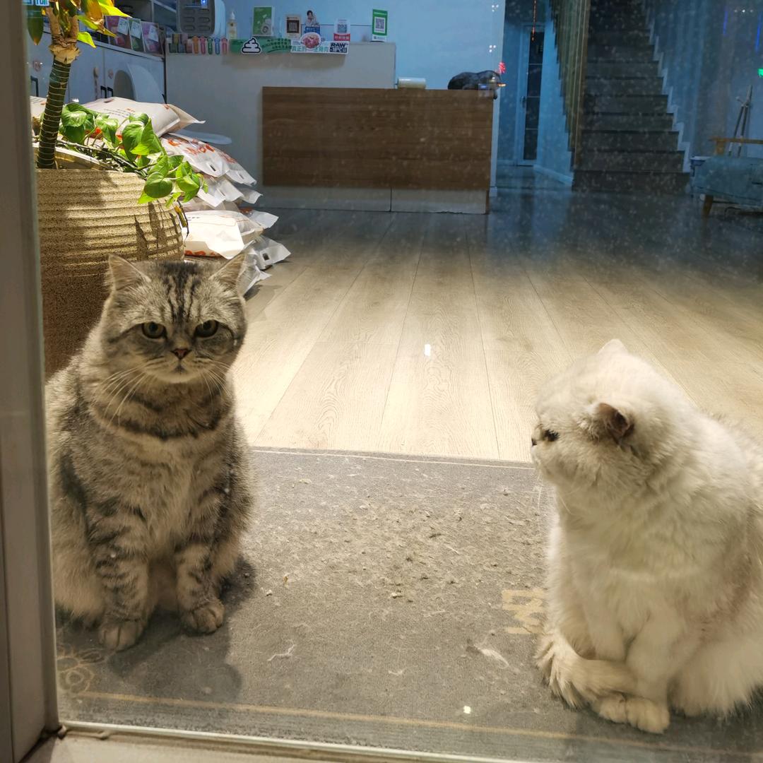 百里头像
