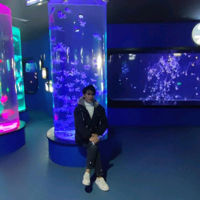 鱼仔🐟