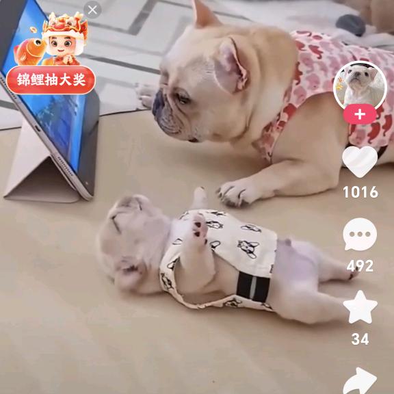 梦回唐朝