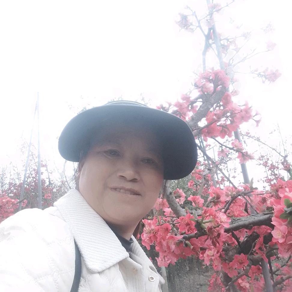 用户芝麻开门