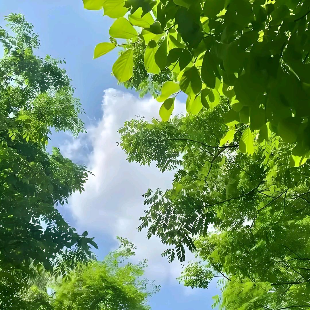 人生啊，乐趣无穷