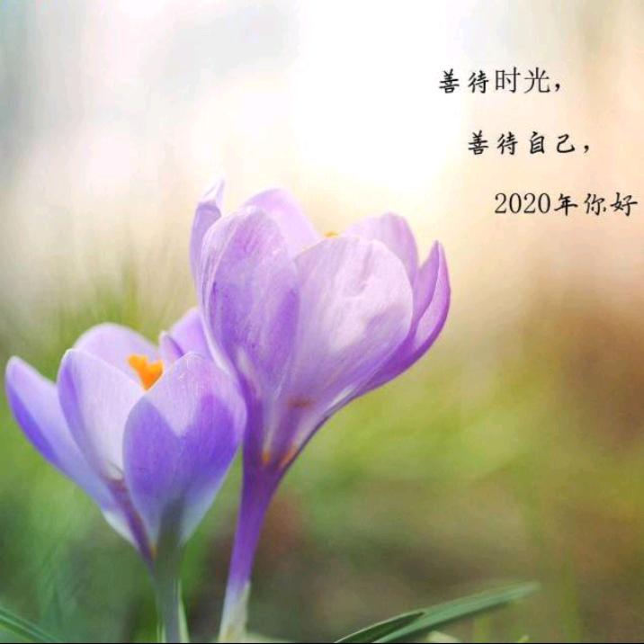 远方
