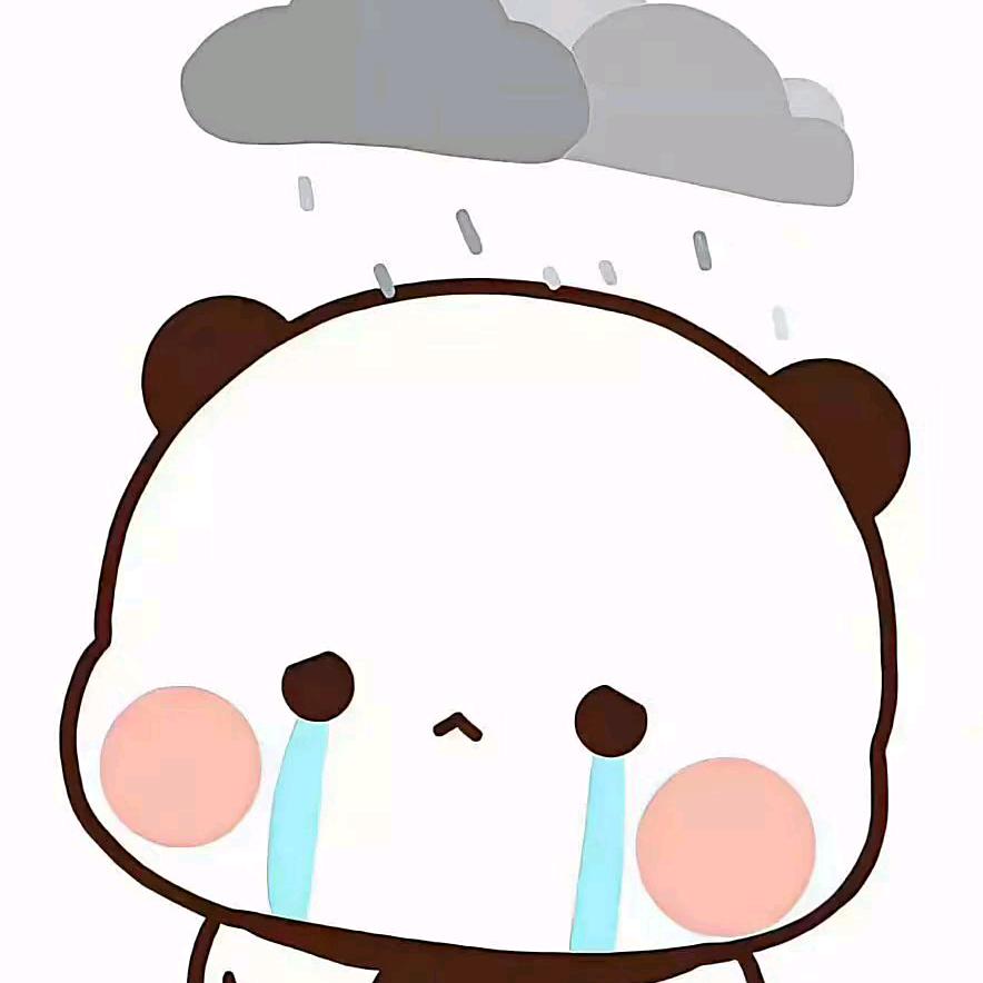 其实是路小雨