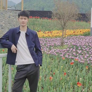 杨涛丶