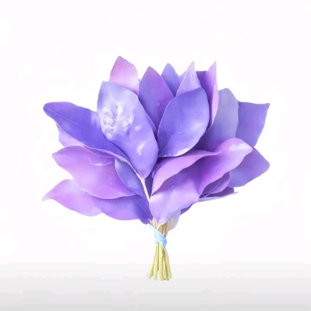 琦琦不是琪琪