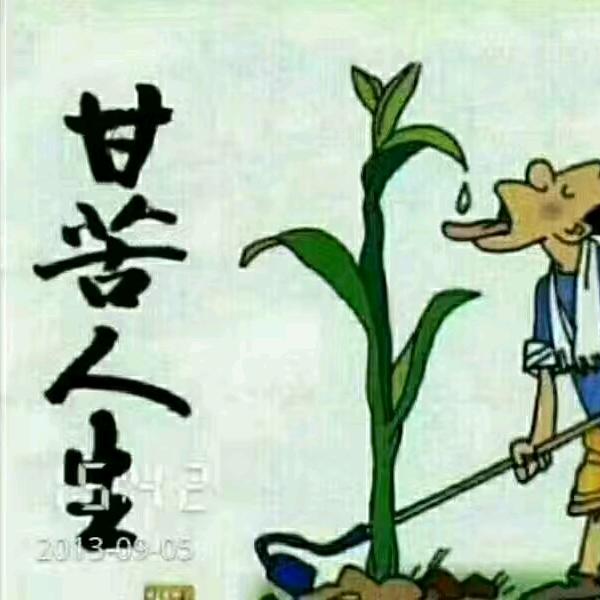 捌妖伍