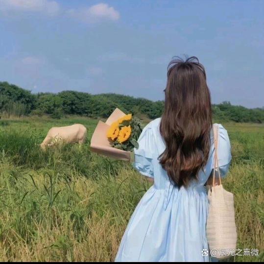 小燕