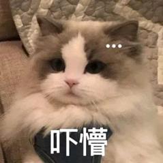 汀上白沙看不见