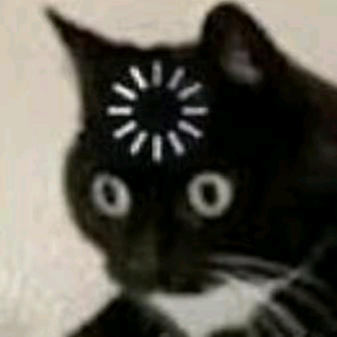 DOOC头像