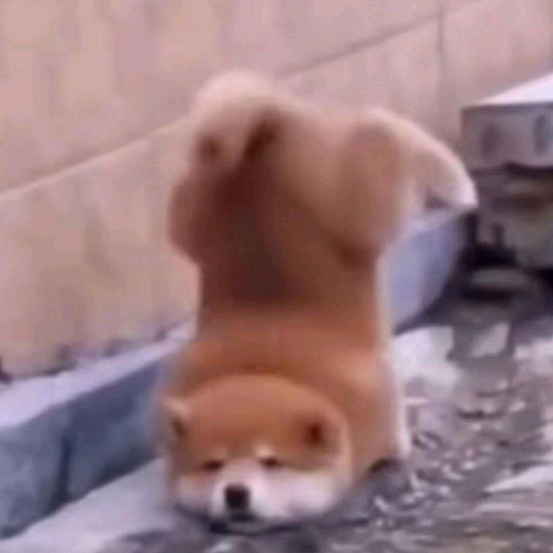 祂