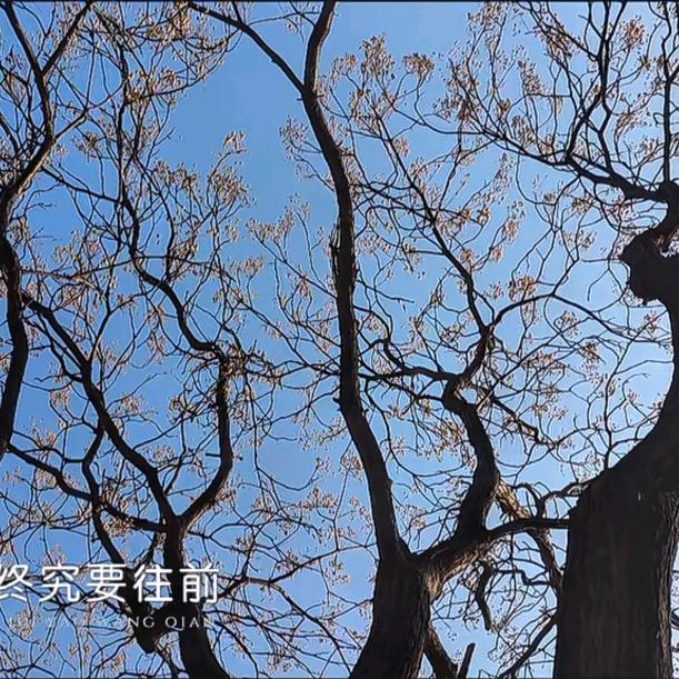 安然于心