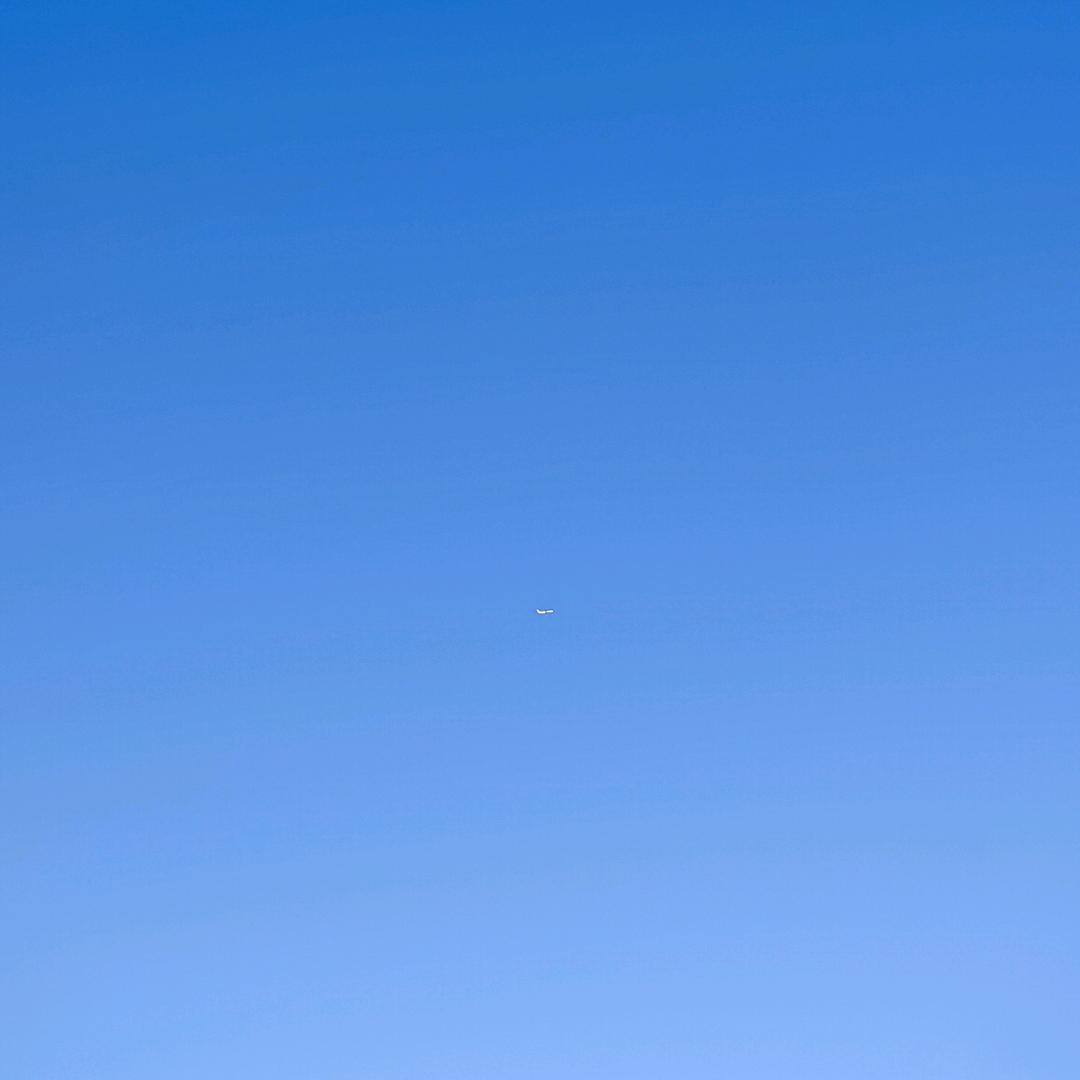 言 成