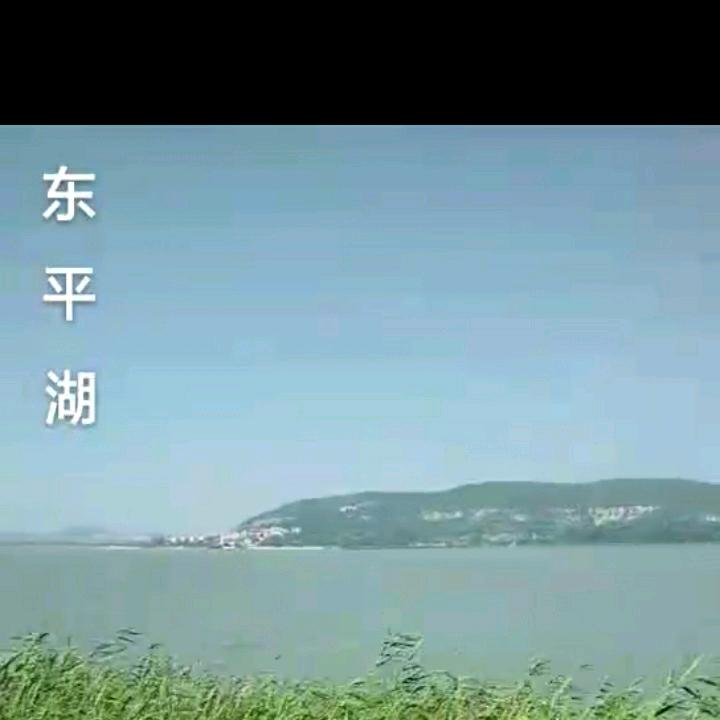 乡村哥