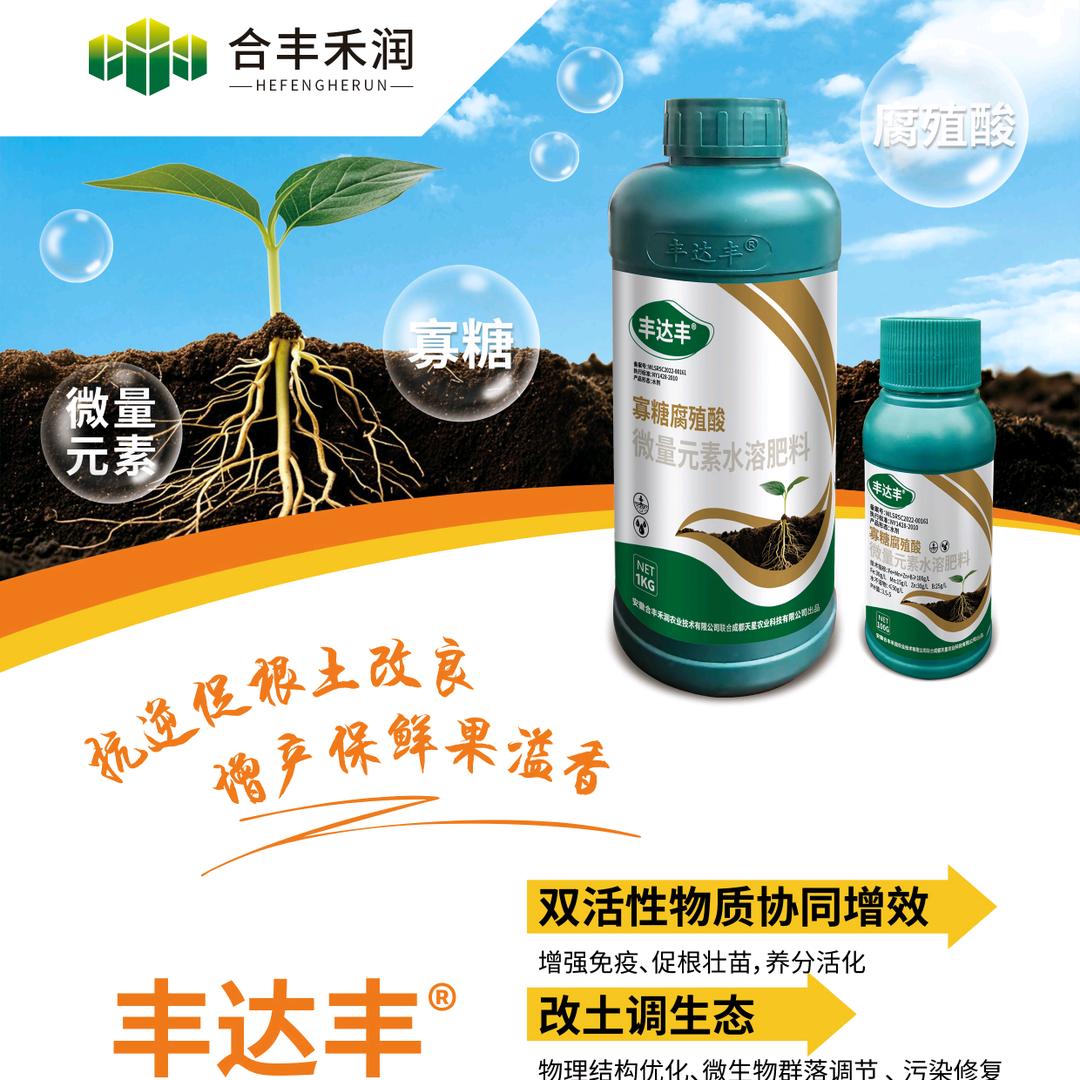 鲁延春（合丰合润）