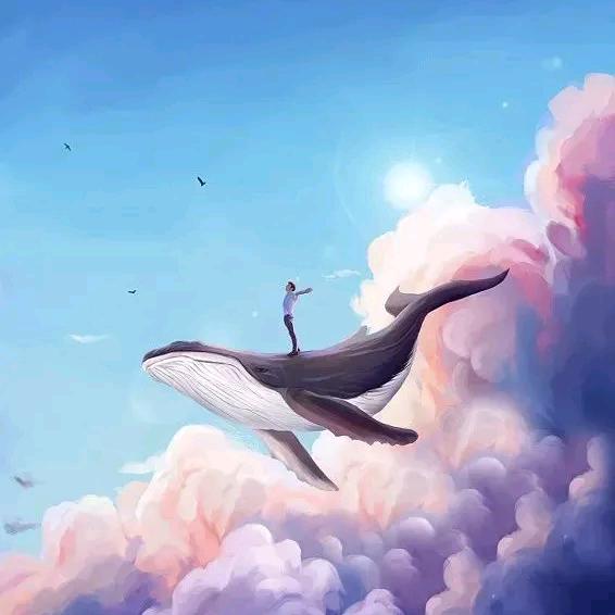 翻阅浪浪山¹⁹¹⁴