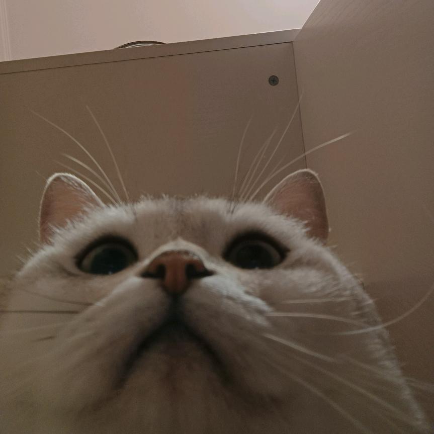 。。。。🐟