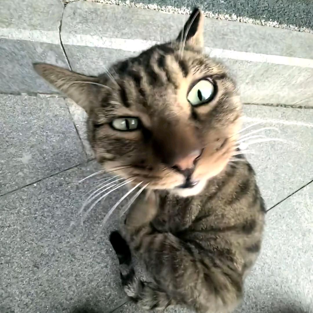 👁️👁️