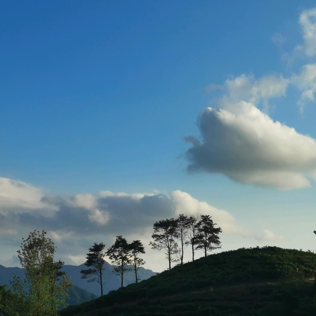 我的执着、你敷衍不起