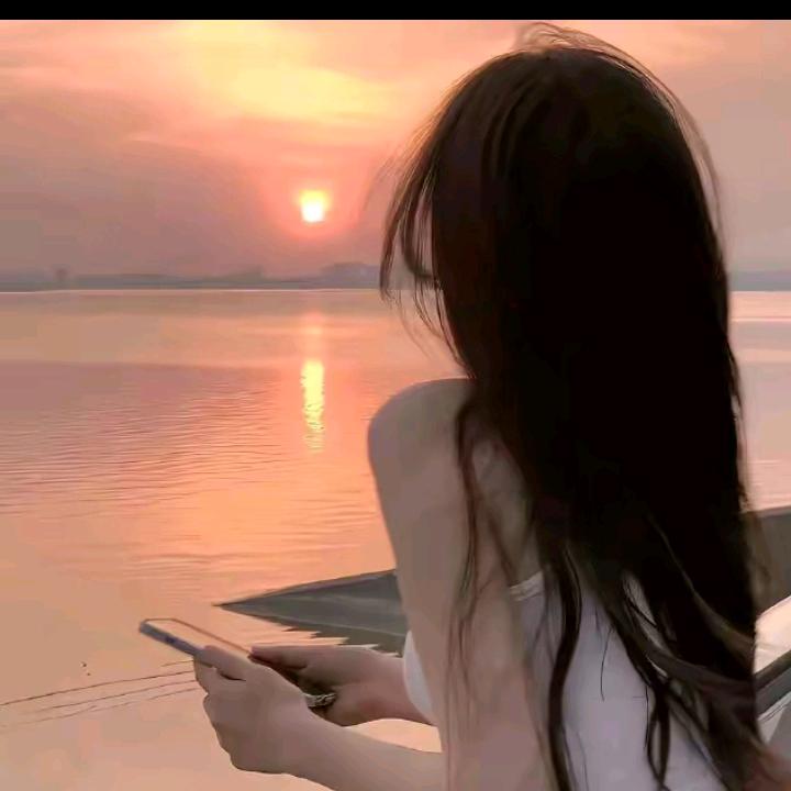 鸽子