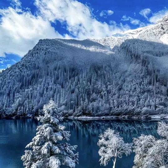 捂nai长衫罩子笼也