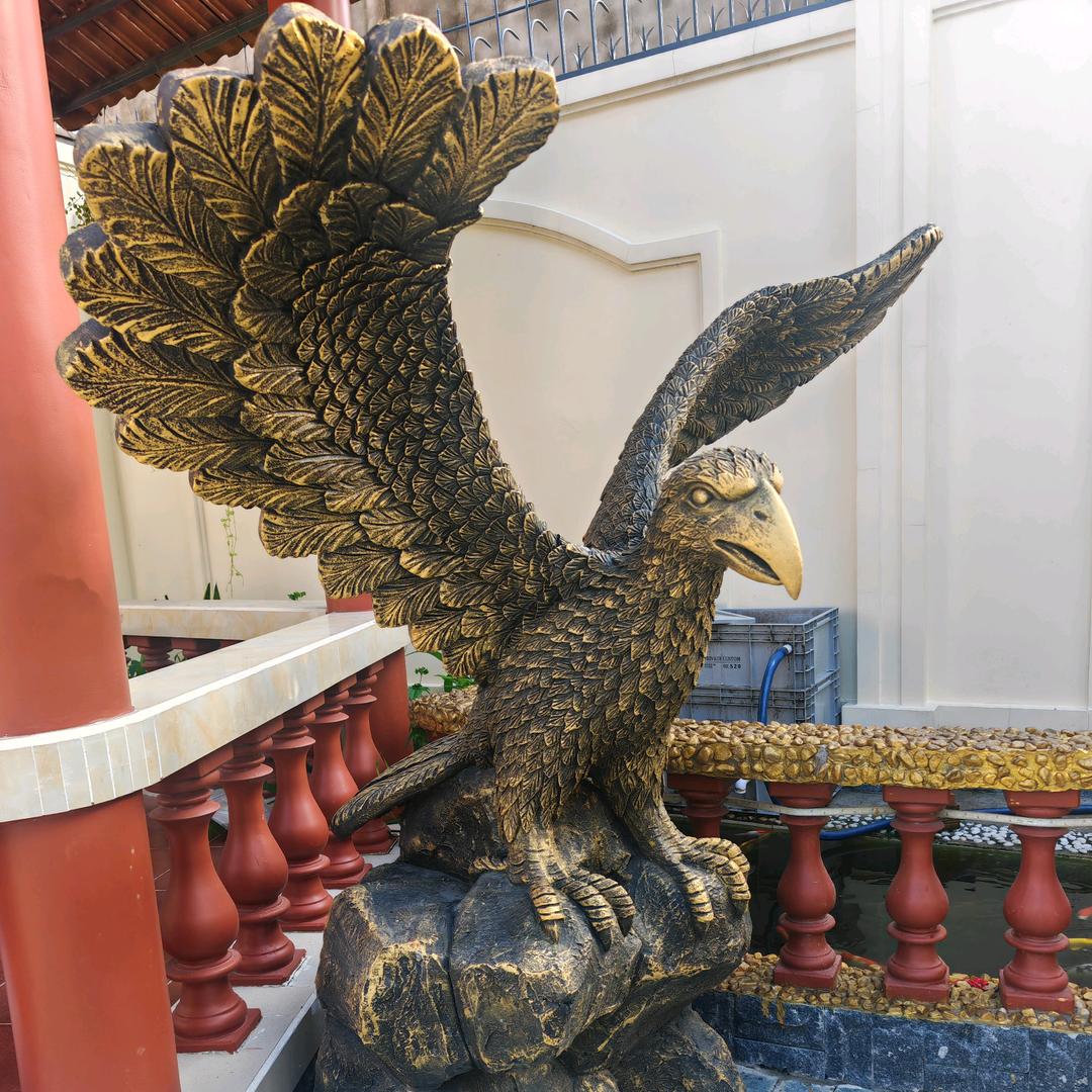 杰哥-河南固始农村小伙闯越南