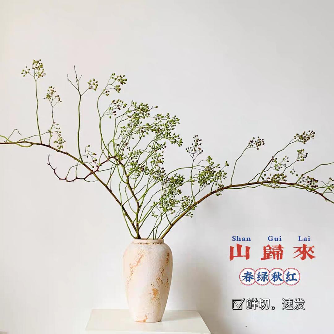 山归来鲜切批发