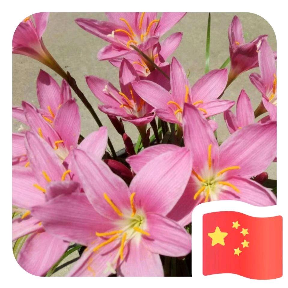 不亦乐乎，不亦乐乎