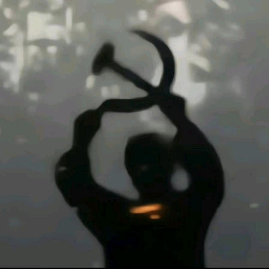 疯狂的秋刀鱼