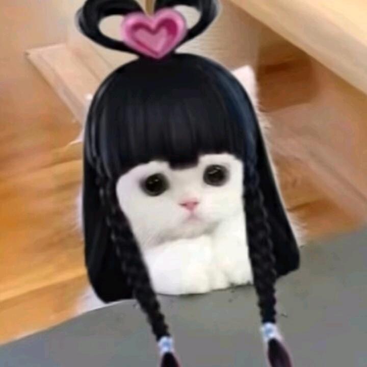 Sunset.沐熙💗（小号）