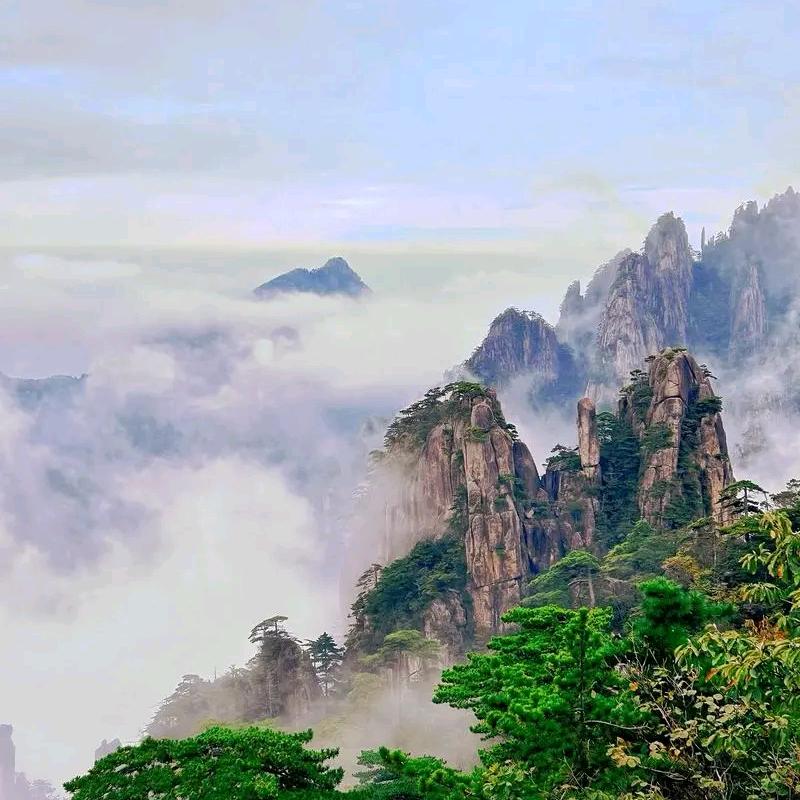 小荔枝