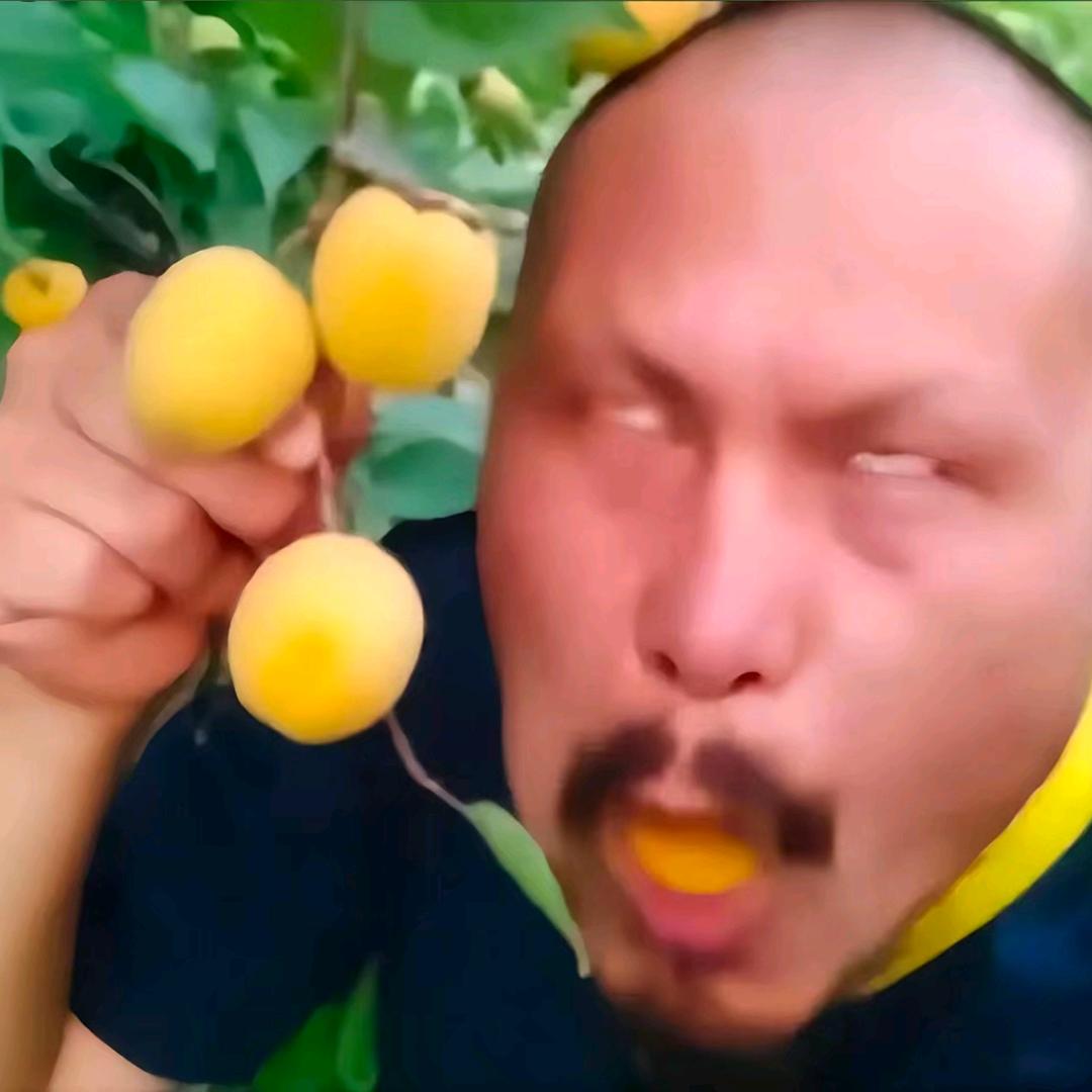 hrFFF
