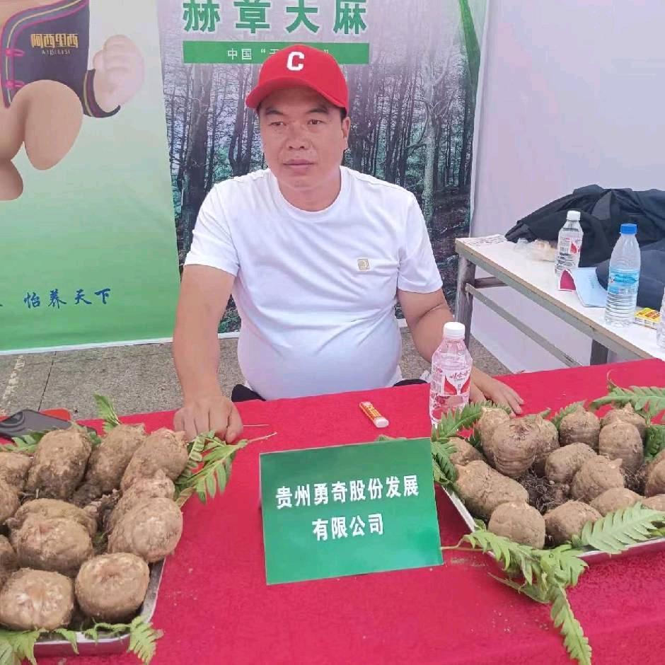 赫章青山勇哥天麻