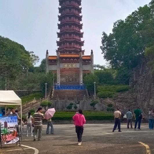清风逐明月