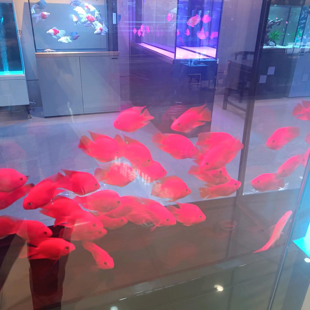 静心～