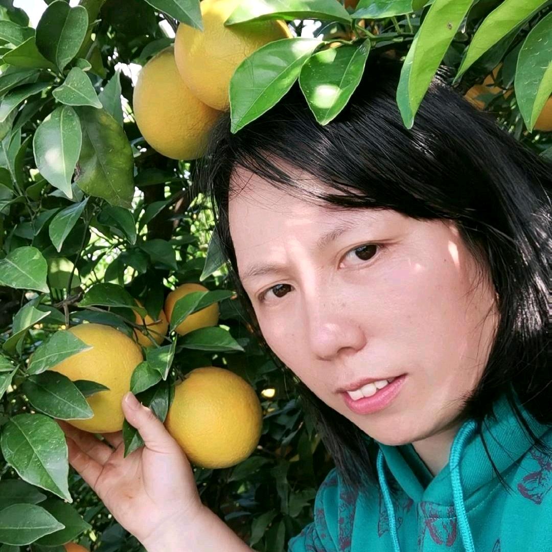 赣南脐橙爱群