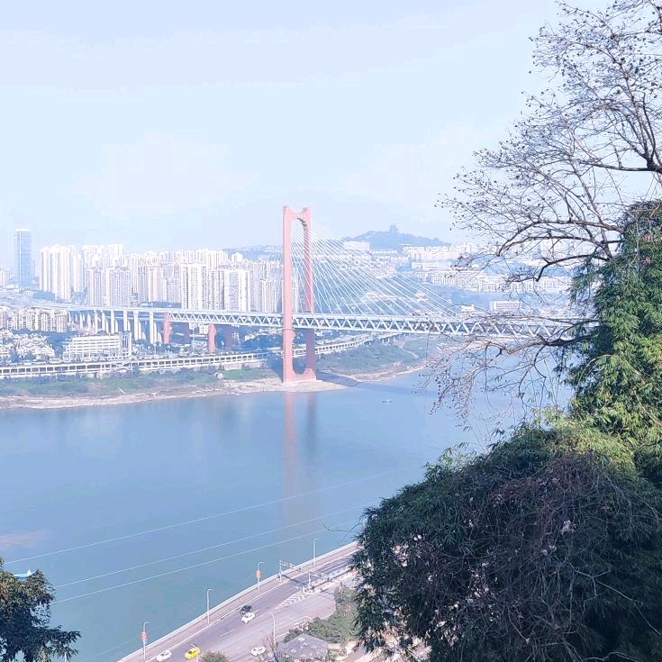 酷强湖南强工团队