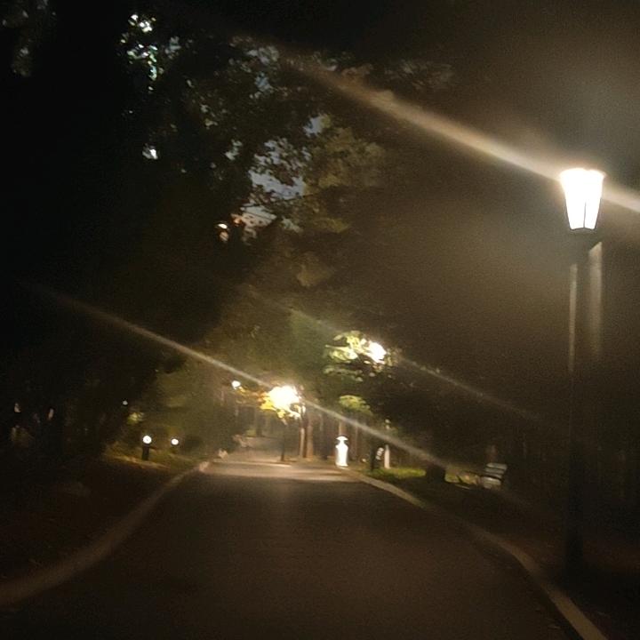 不说再见