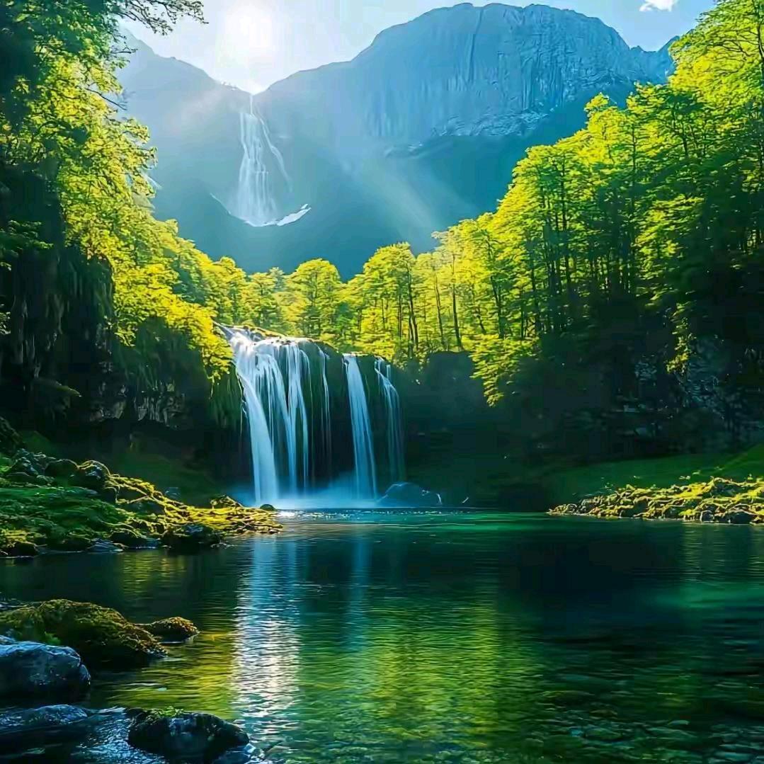 独宠天意