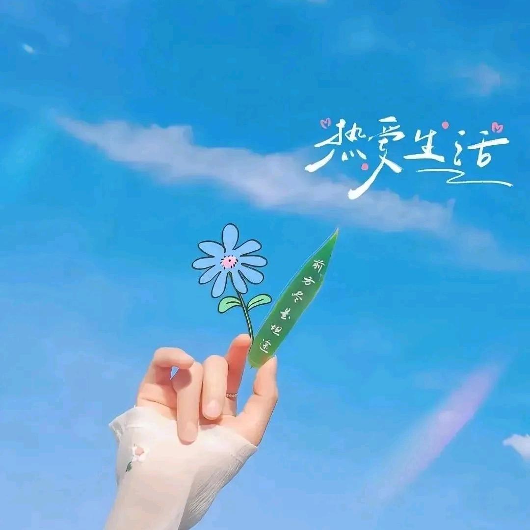 清逸幽蓝