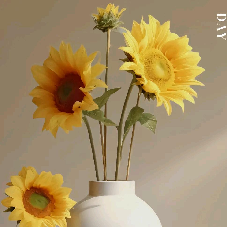 平平安安就是福