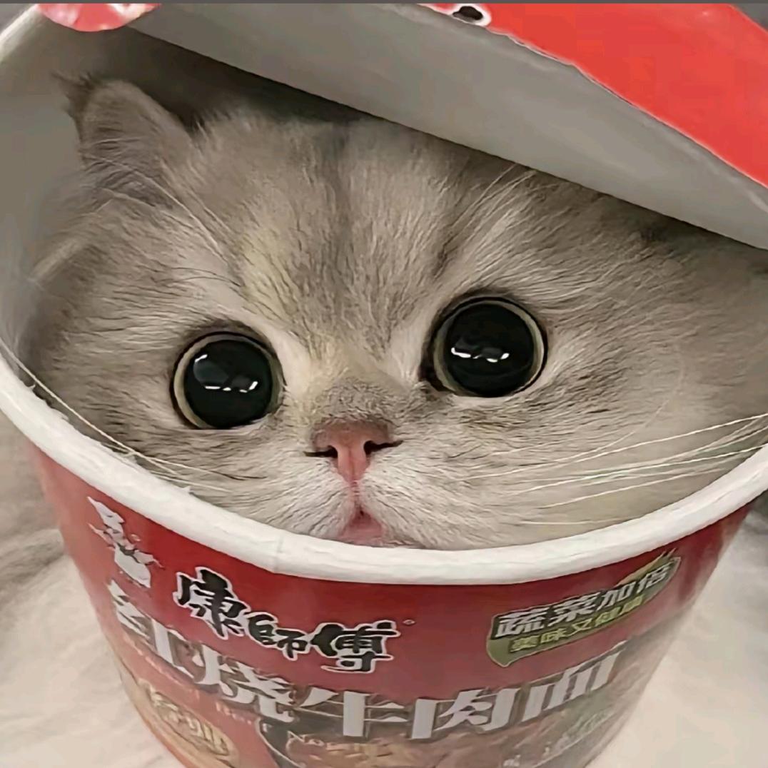 진사결