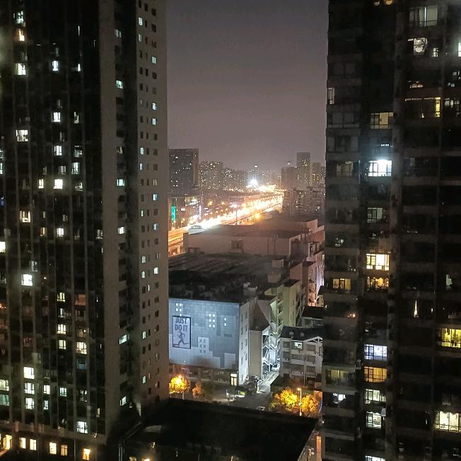 西   瓜皮