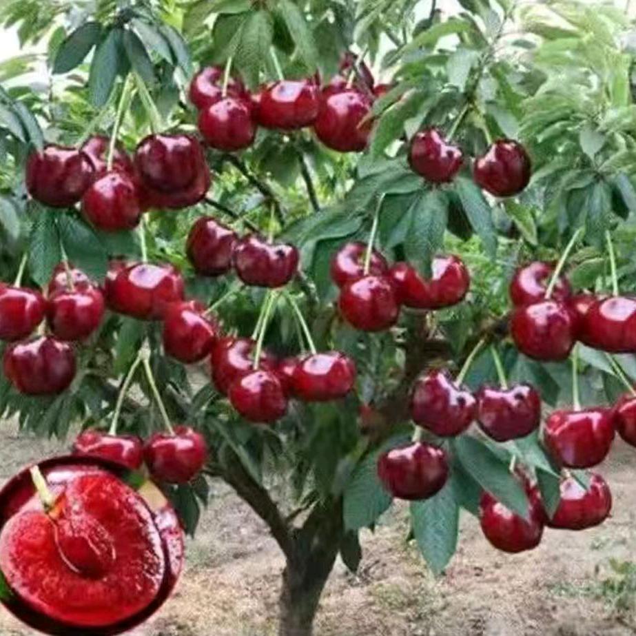 缘份让我认识你 🍒