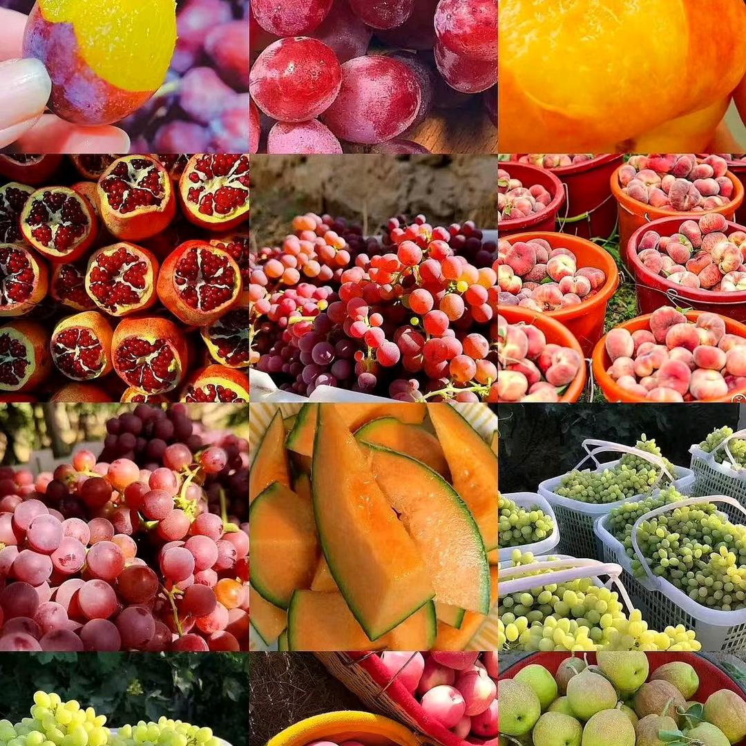 果树知识小达人